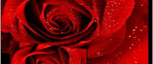 店員瘋狂發傳單，顧客卻頭也不抬？LED廣告機‘強制吸睛’的5個心機設計”